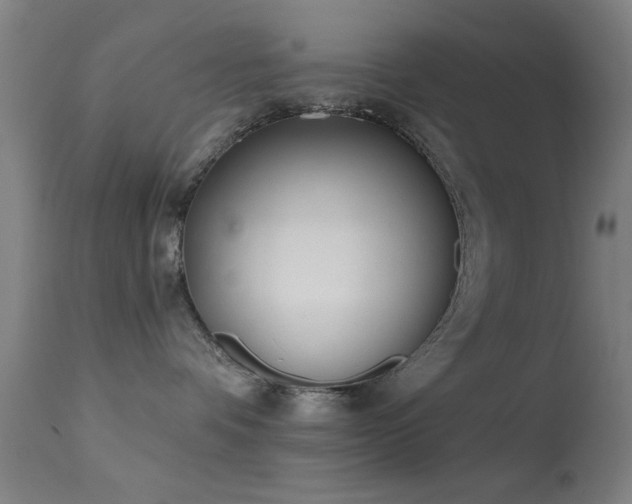 X0000113320336200909211202