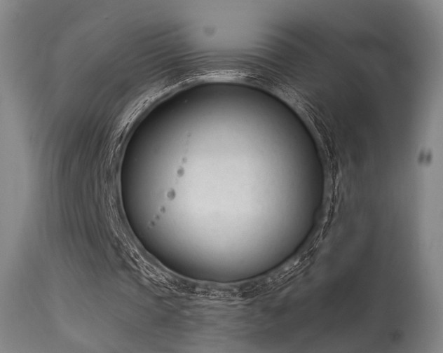 X0000113320337200909211201