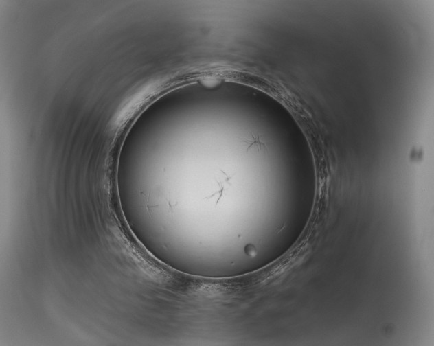 X0000113320341200909211201