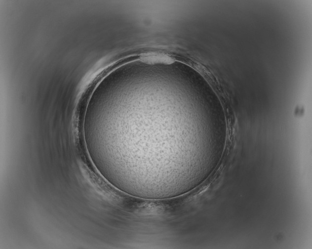 X0000113320343200909211201