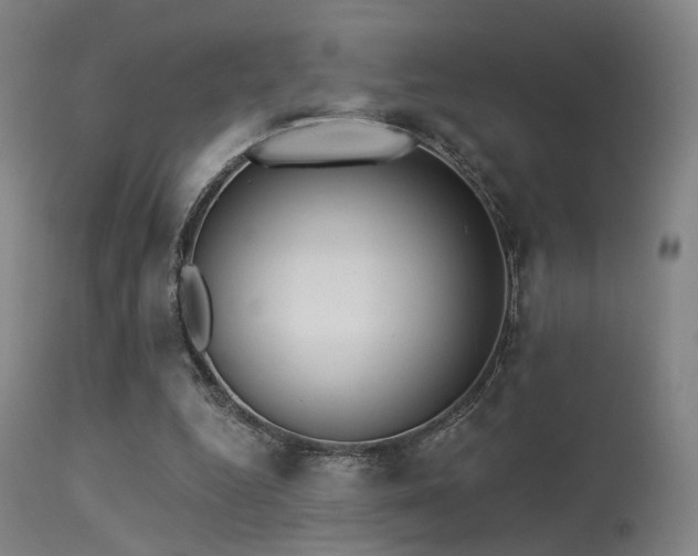 X0000113320344200909211201