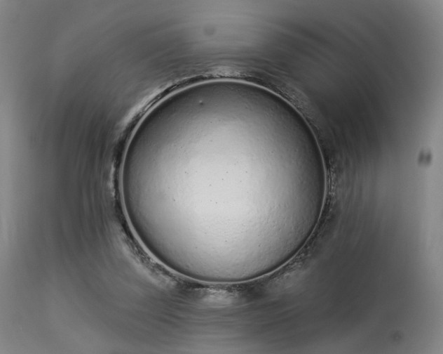 X0000113320347200909211201