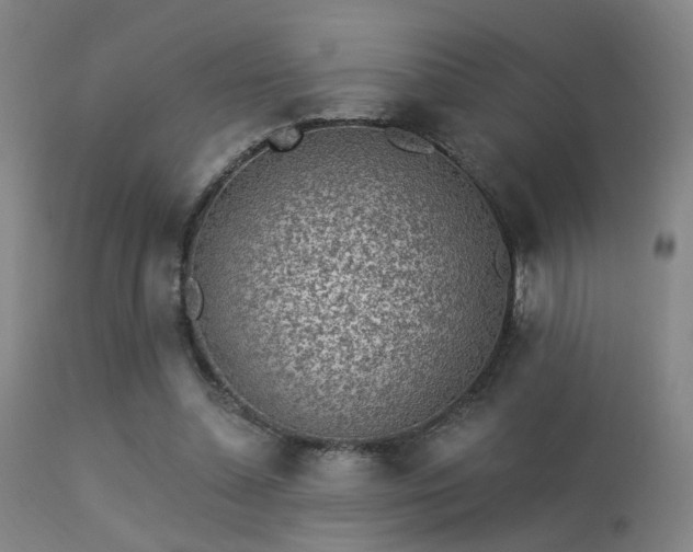 X0000113320348200909211201