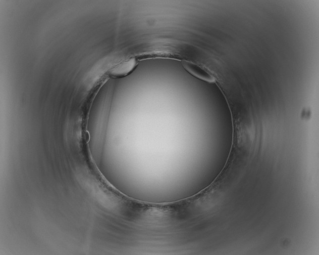 X0000113320350200909211201