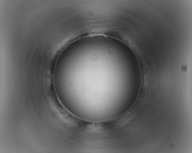 X0000113320354200909211201