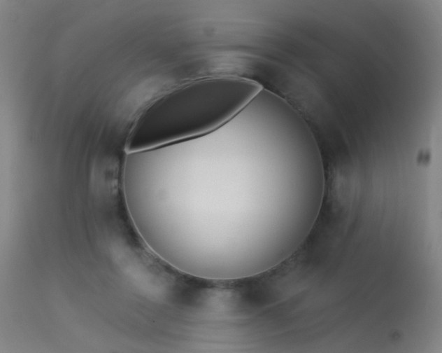 X0000113320356200909211201