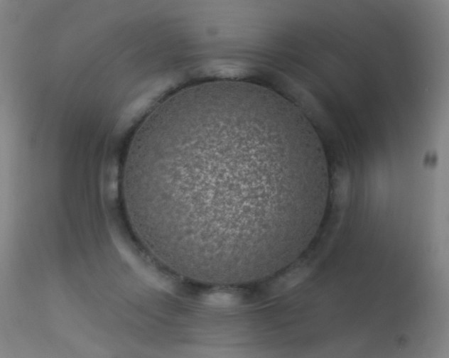 X0000113320358200909211201