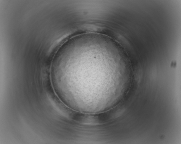 X0000113320359200909211201