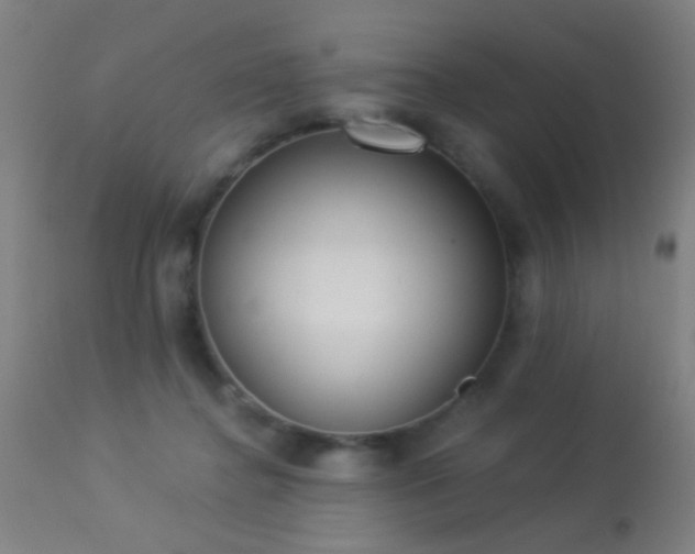 X0000113320364200909211201