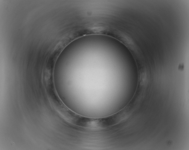 X0000113320365200909211201