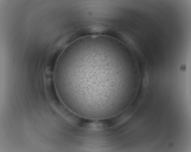 X0000113320366200909211201