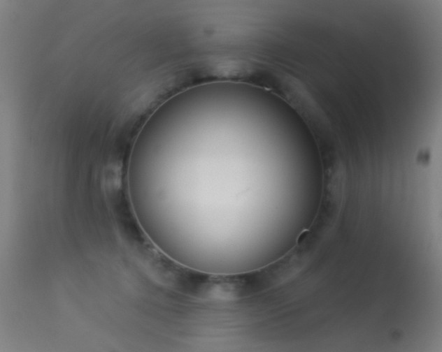 X0000113320368200909211201