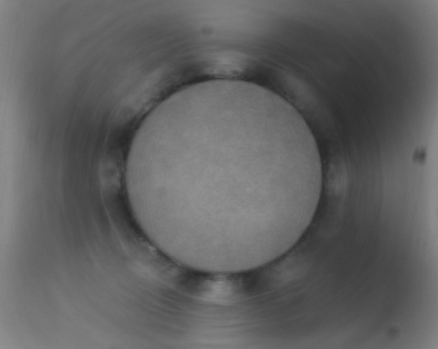 X0000113320370200909211202