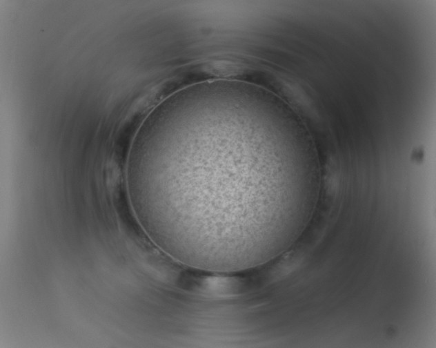 X0000113320371200909211202