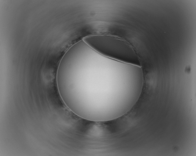 X0000113320372200909211202