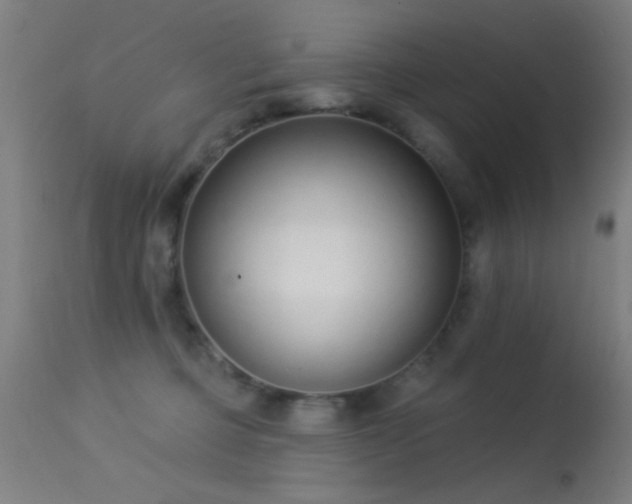 X0000113320373200909211202