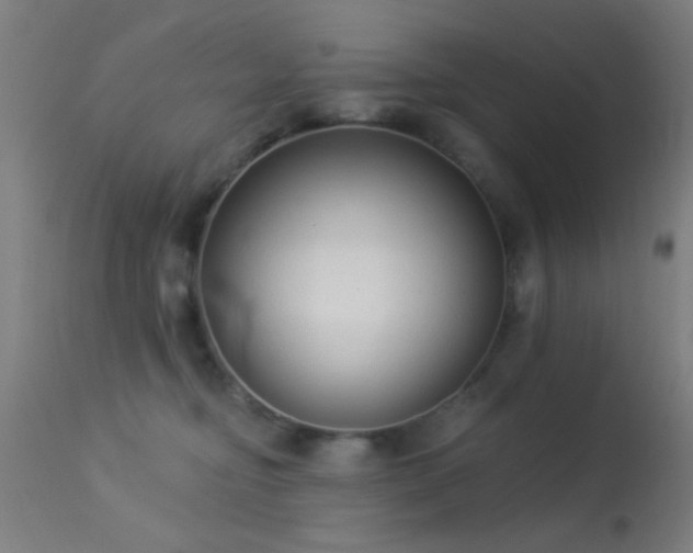 X0000113320374200909211202