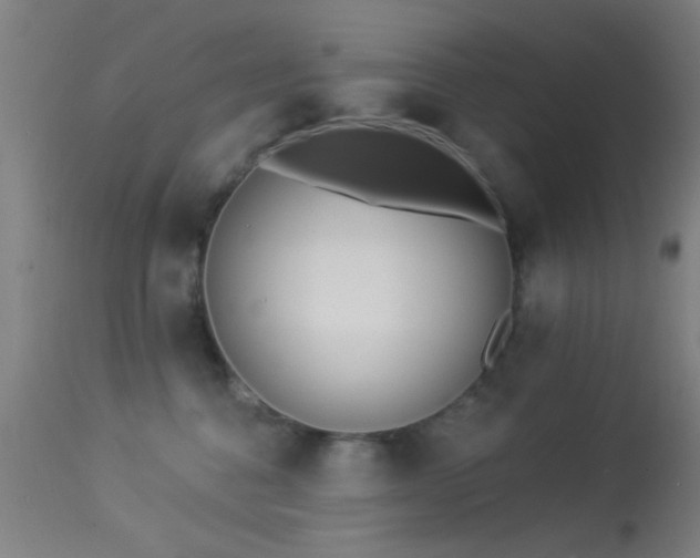 X0000113320376200909211202