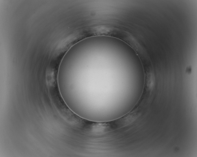 X0000113320378200909211202