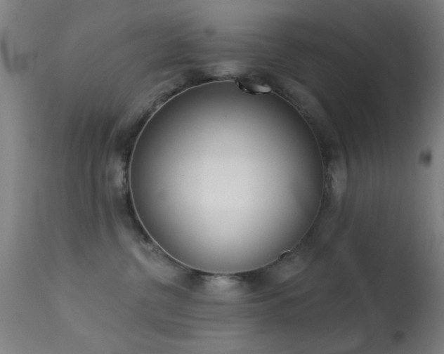 X0000113320380200909211202