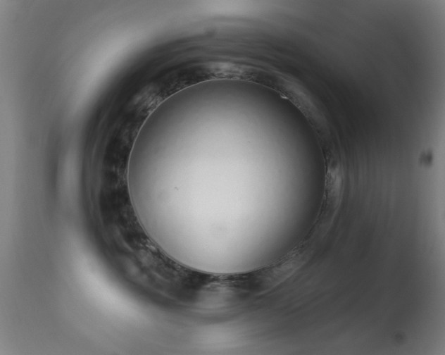 X0000113320381200909211202