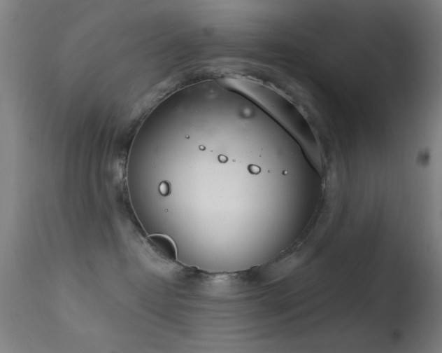 X0000113320382200909211202