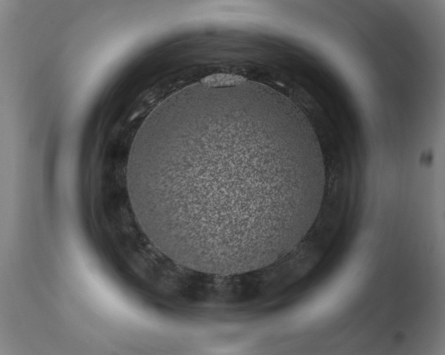 X0000113320383200909211202