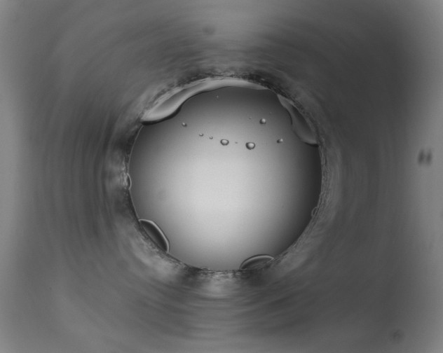 X0000113320384200909211202