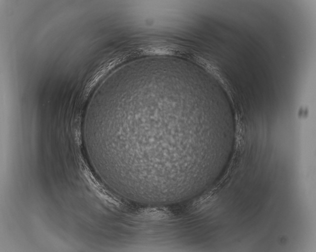 X0000113320386200909211201