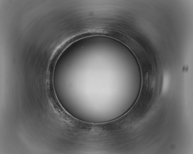 X0000113320388200909211201