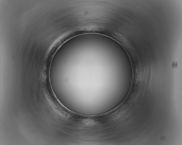 X0000113320392200909211201