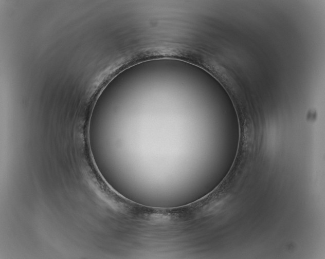 X0000113320394200909211201