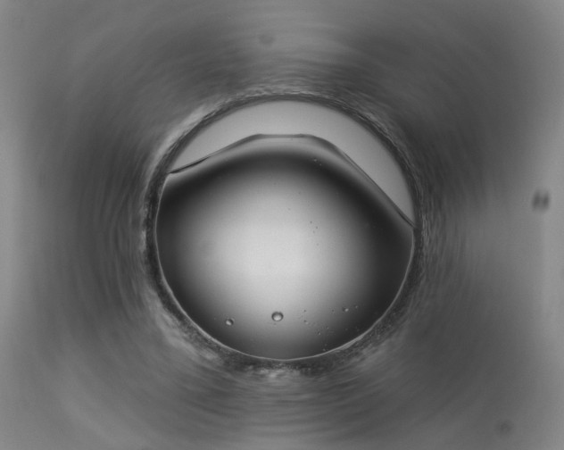 X0000113320395200909211201