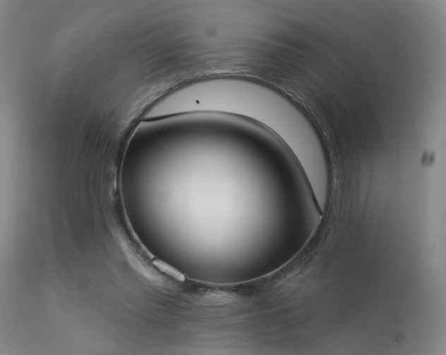 X0000113320397200909211201