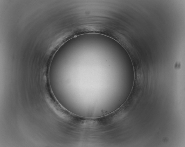 X0000113320398200909211201