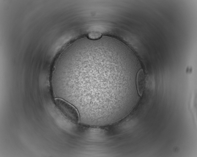 X0000113320399200909211201