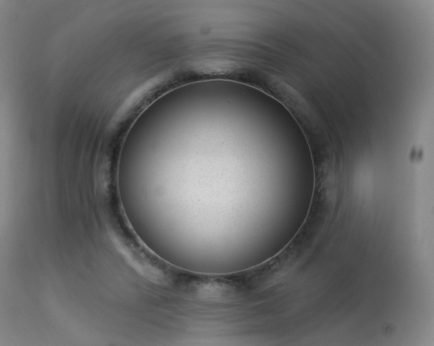 X0000113320400200909211201