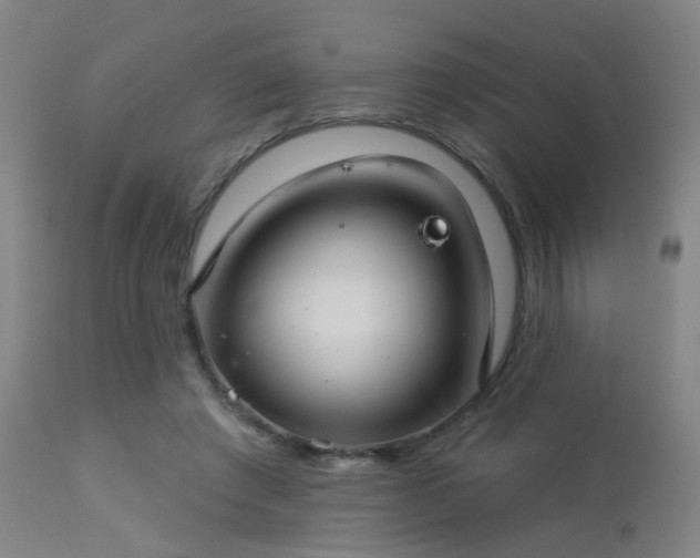 X0000113320401200909211201