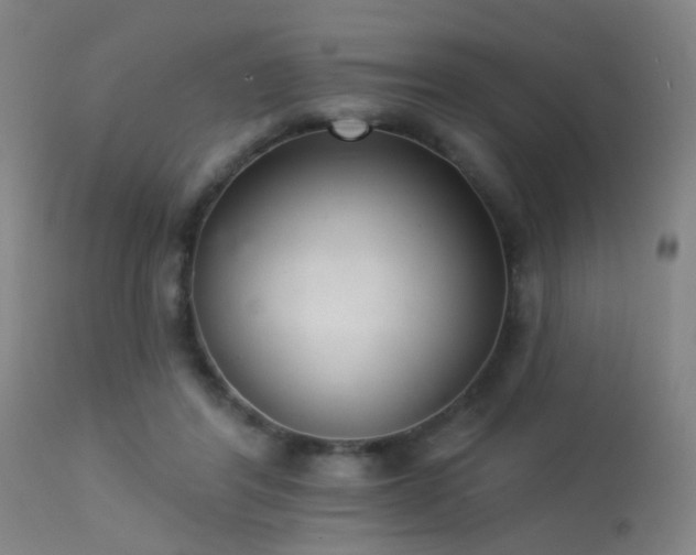 X0000113320404200909211201