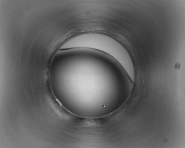 X0000113320405200909211201