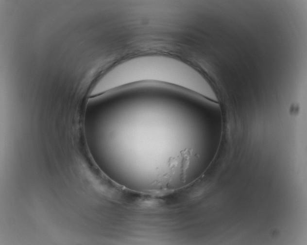 X0000113320407200909211201