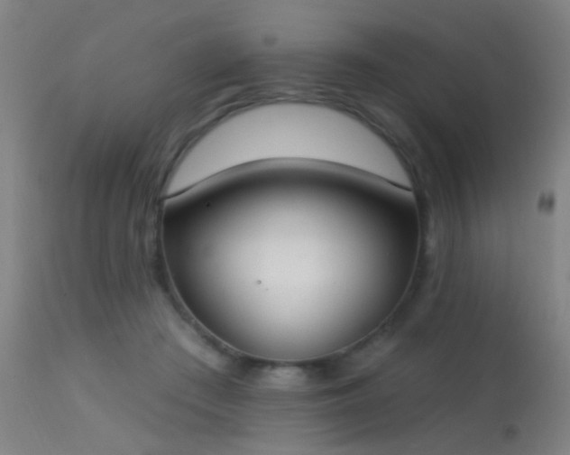 X0000113320409200909211201