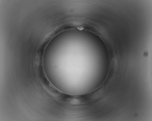 X0000113320412200909211201