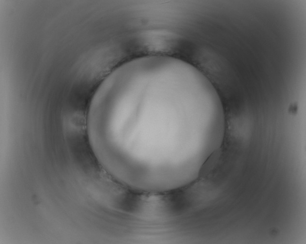 X0000113320419200909211200