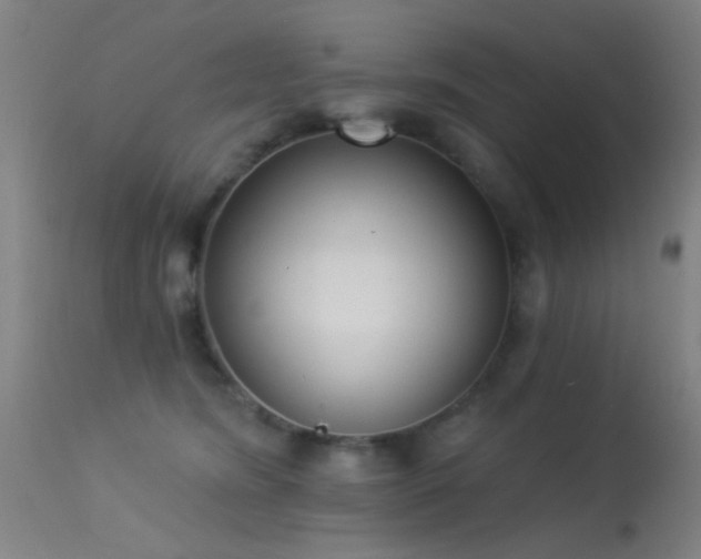 X0000113320420200909211200