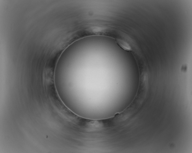 X0000113320421200909211200