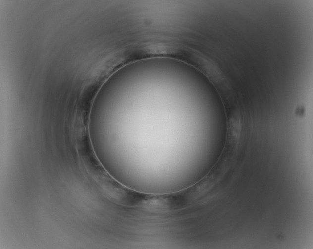 X0000113320422200909211200