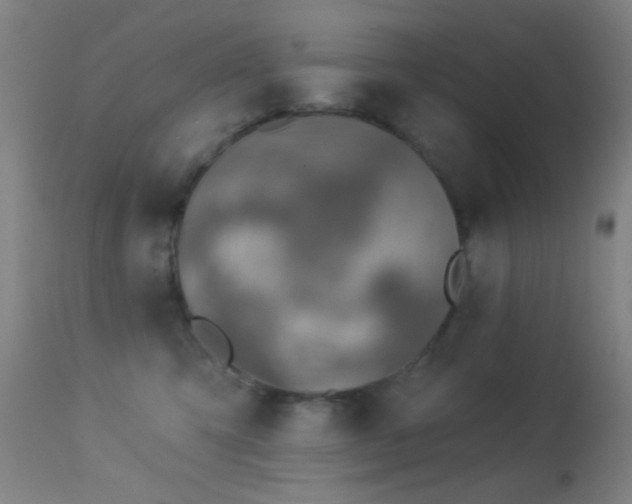 X0000113320423200909211200