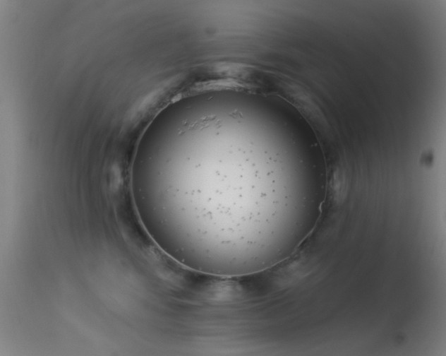 X0000113320424200909211200