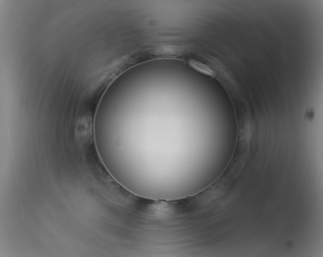 X0000113320425200909211200